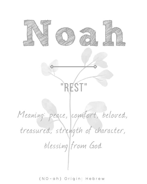 Noah