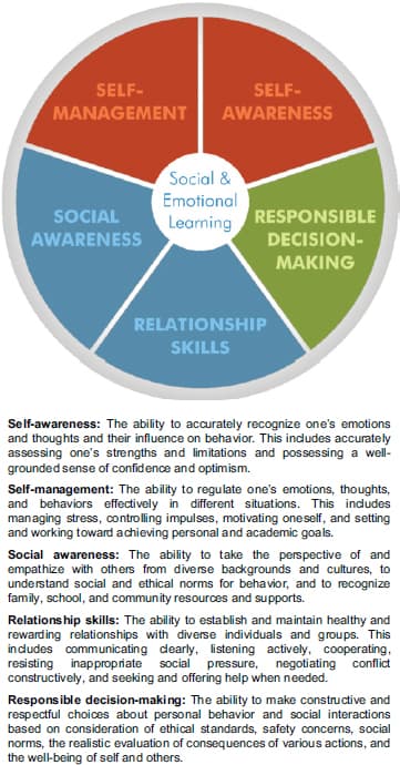 Create real reasons to use each language (people, playgroups, calls, community)