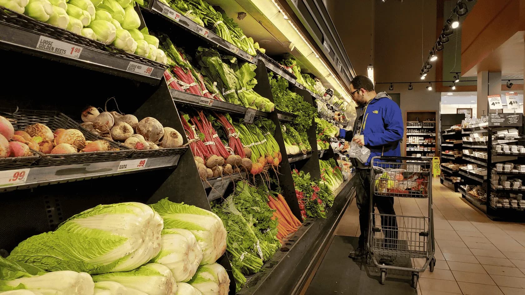 Wholesale to Retailers (Independent Shops + Chains)