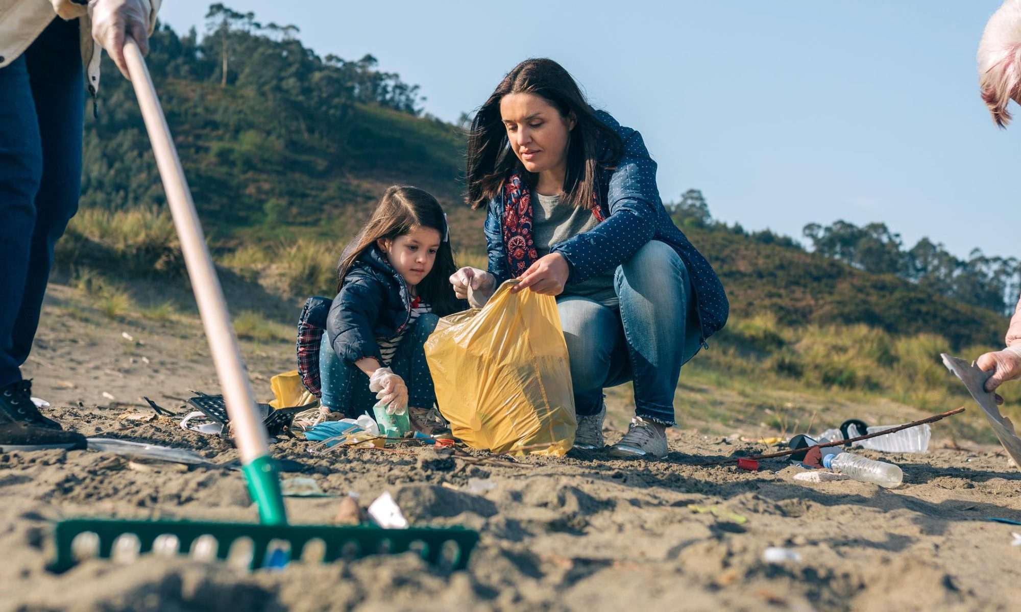 Use a time-lapse camera to spot daily rhythms and “opening” behavior